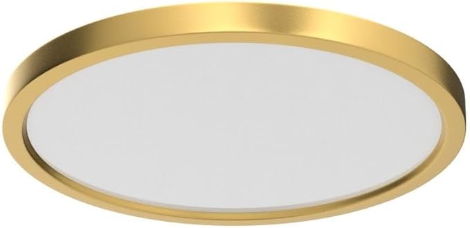 12 Inch Gold LED Ceiling Light 3200LM 5000K Flush Mount Modern Round Fixture