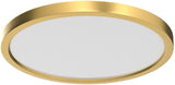 12 Inch Gold LED Ceiling Light 3200LM 5000K Flush Mount Modern Round Fixture