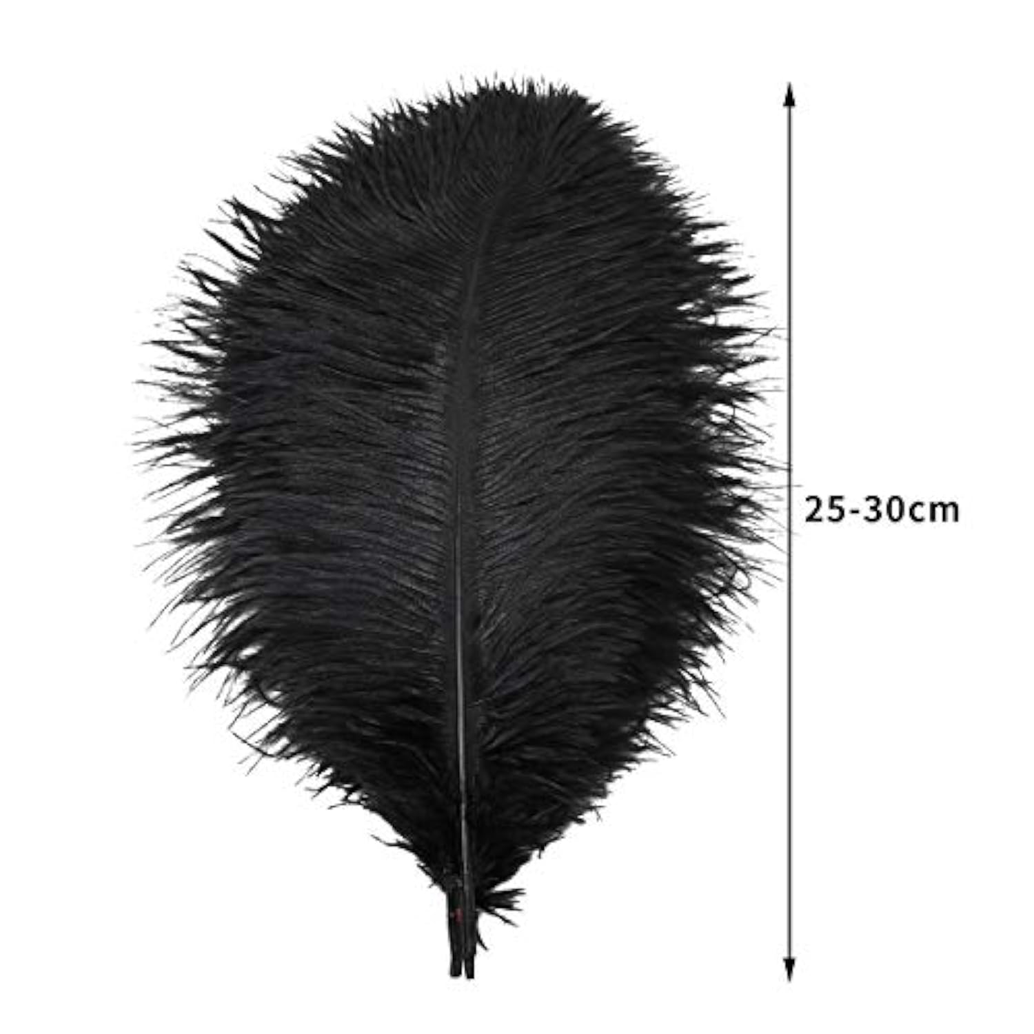 24Pcs Natural Black Ostrich Feathers 10-12Inch (25-30Cm) For Wedding Party Centerpieces?Flower Arrangement And Home Decoration.
