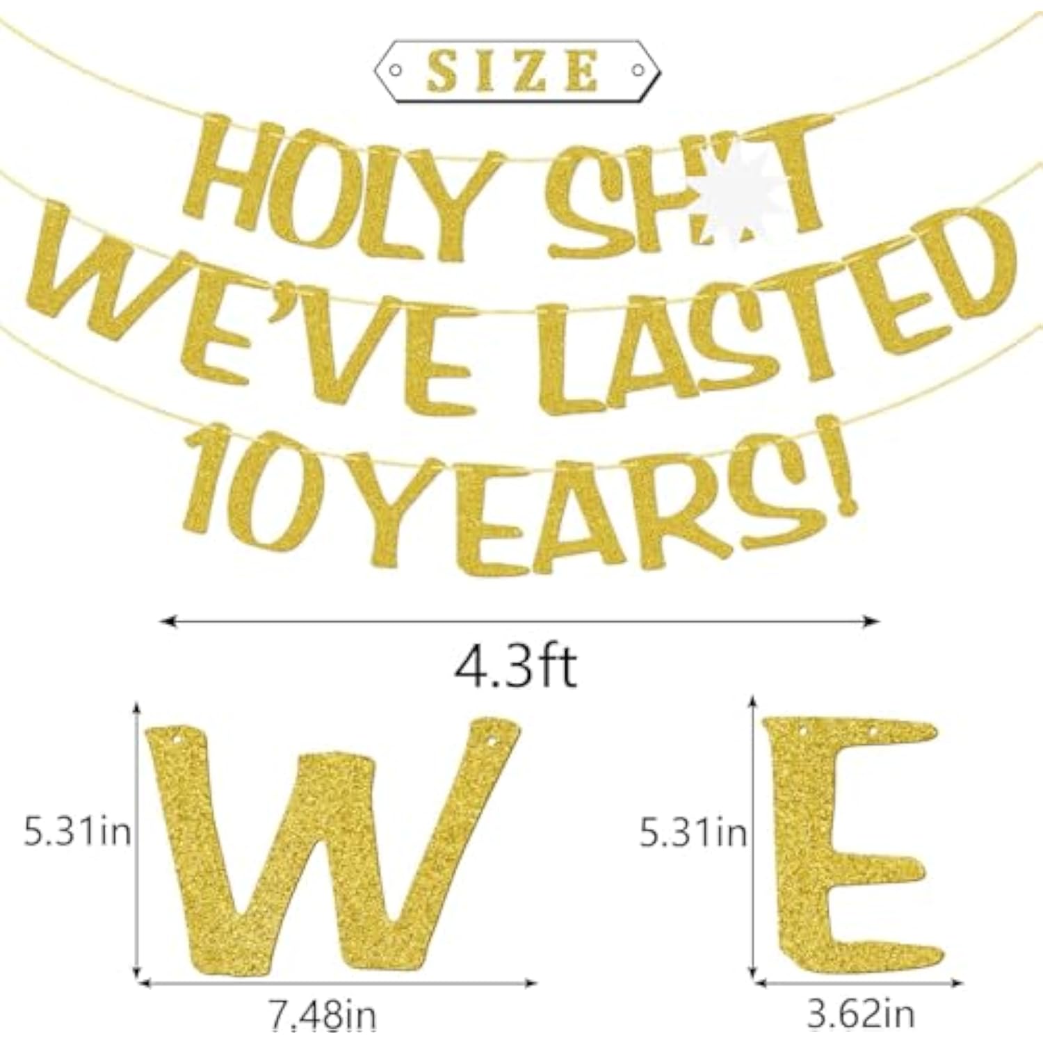 Holy We'Ve Lasted 10 Years Banner, 10Th Wedding Anniversary Party Decorations, Funny Decor For Him Her Husband Wife Parents, Pre-Strung, Gold Glitter