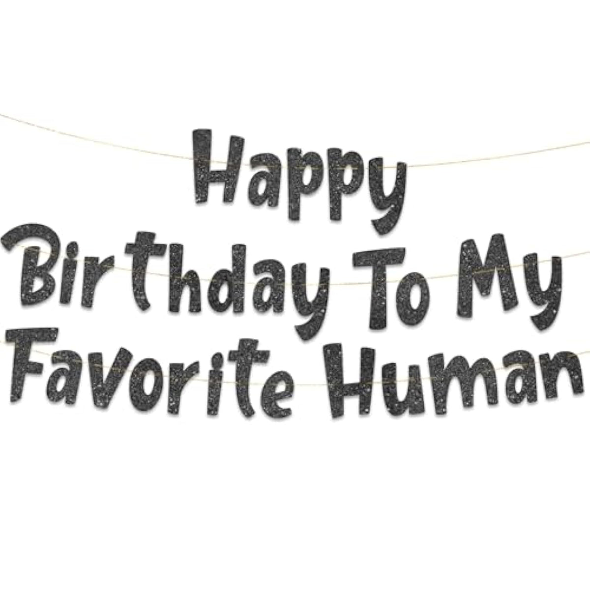 Pre-Strung Happy Birthday To My Favorite Human - Funny Birthday Black Glitter Banner - Funny Birthday Decorations For Men And Women - Party Supplies And Gifts