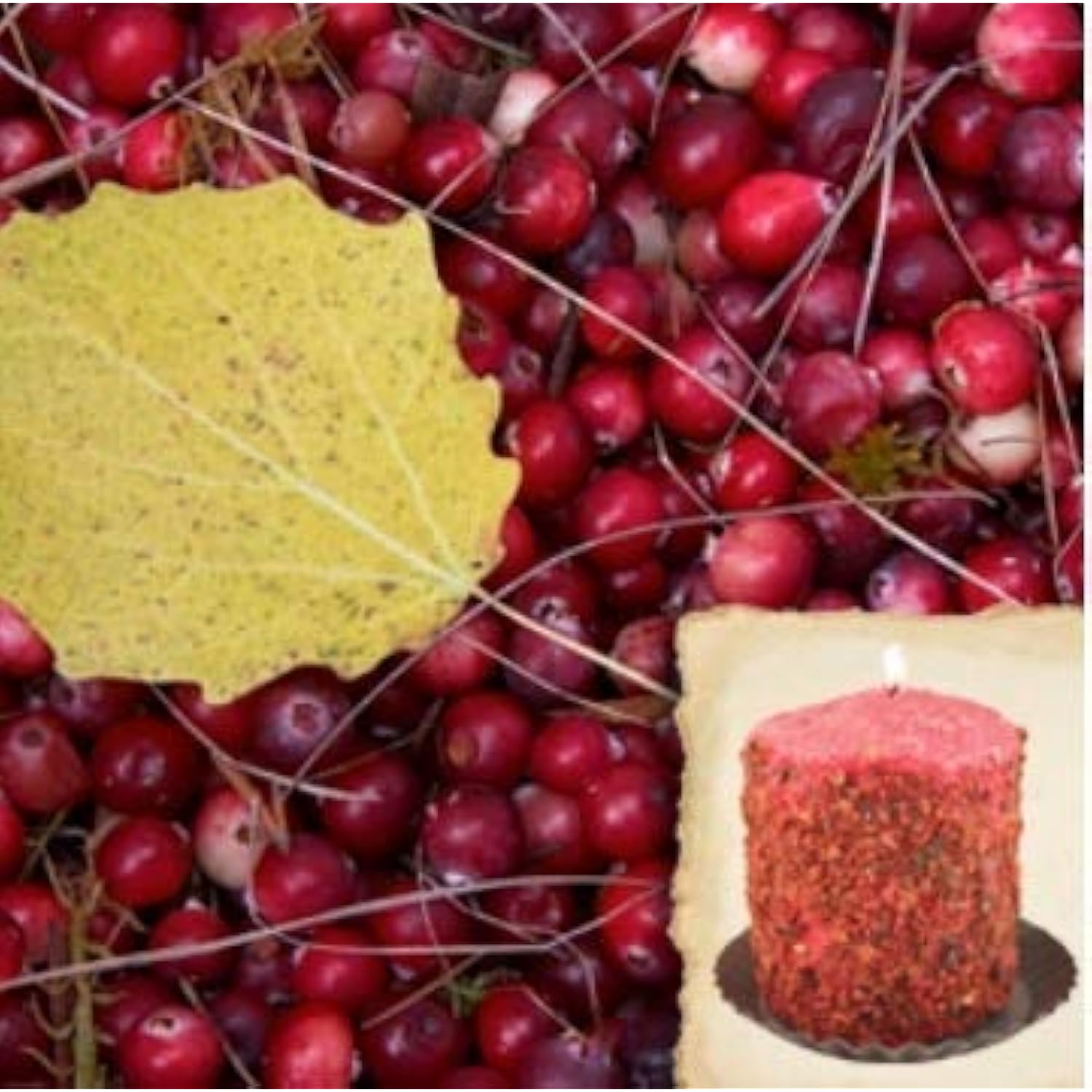 5'' Hand Dipped Country Fresh Hearth Candle (Home Spun Harvest)