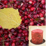5'' Hand Dipped Country Fresh Hearth Candle (Home Spun Harvest)