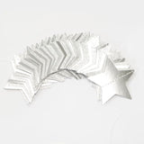 Glitter-Silver Party-Decorations Star Christmas Garland - 62Ft Birthday Twinkle Little Star Hanging Streamers Banner,Bachelorette Engagement Wedding New Years Supplies Decor