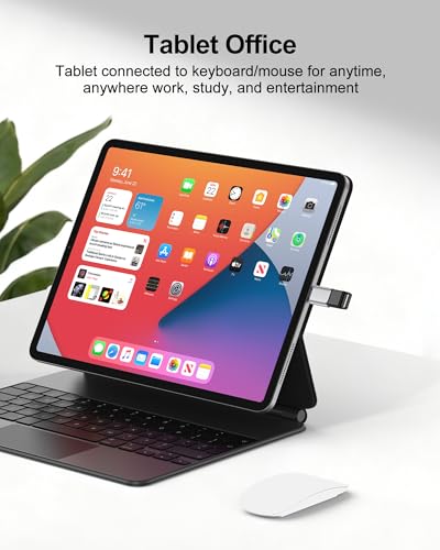 USB A to USB-C Adapter, 2Pack 5Gbps Super Data Transfer USB C to USB A Adapter, Type-C Male to USB 3.0 Female Fast Charging OTG Converter for iPhone