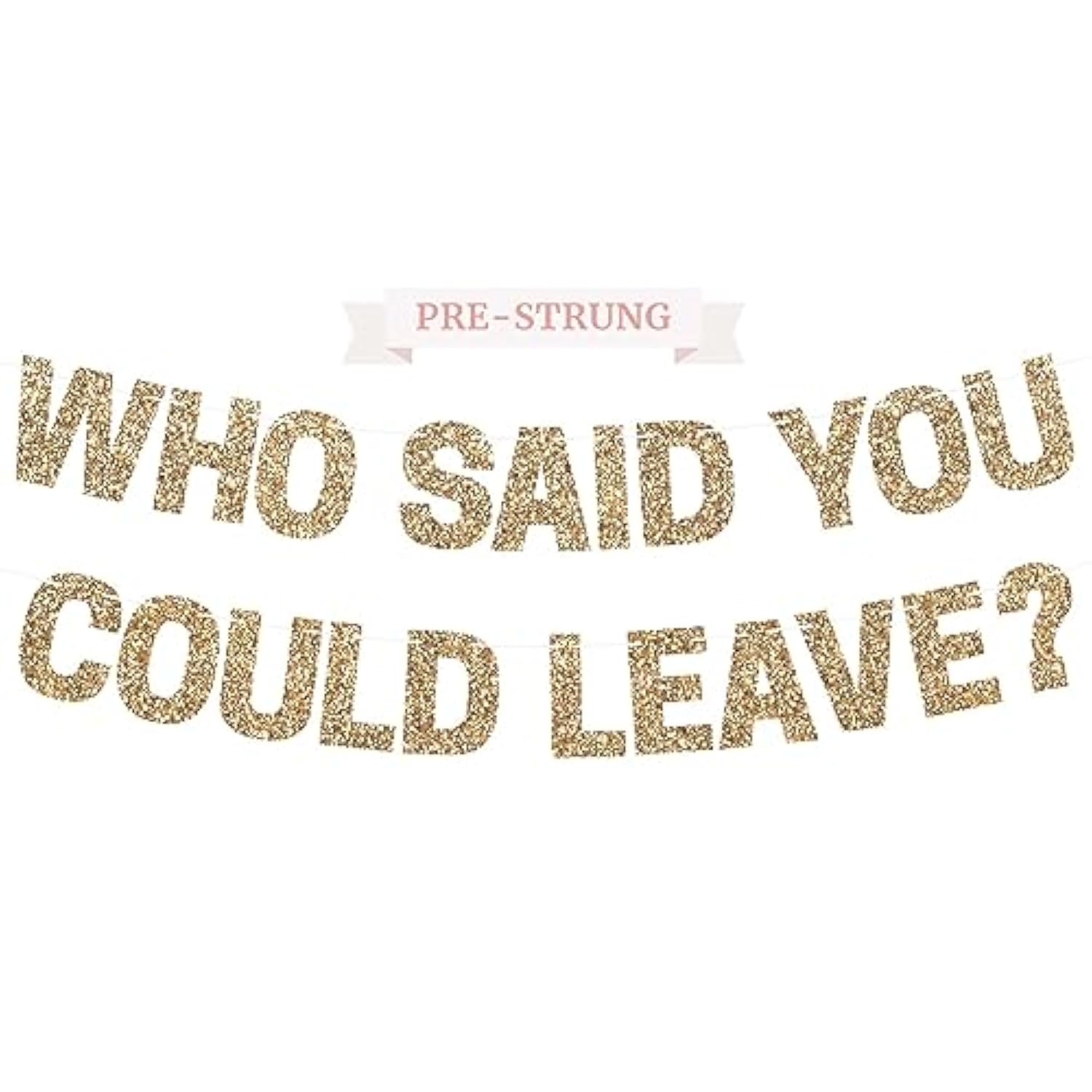 Pre-Strung Who Said You Could Leave Banner - No Diy - Gold Glitter Going Away, Retirement Banner - Pre-Strung On 8 Ft Strands - Farewell Graduation Party Decorations For Men & Women - No Diy