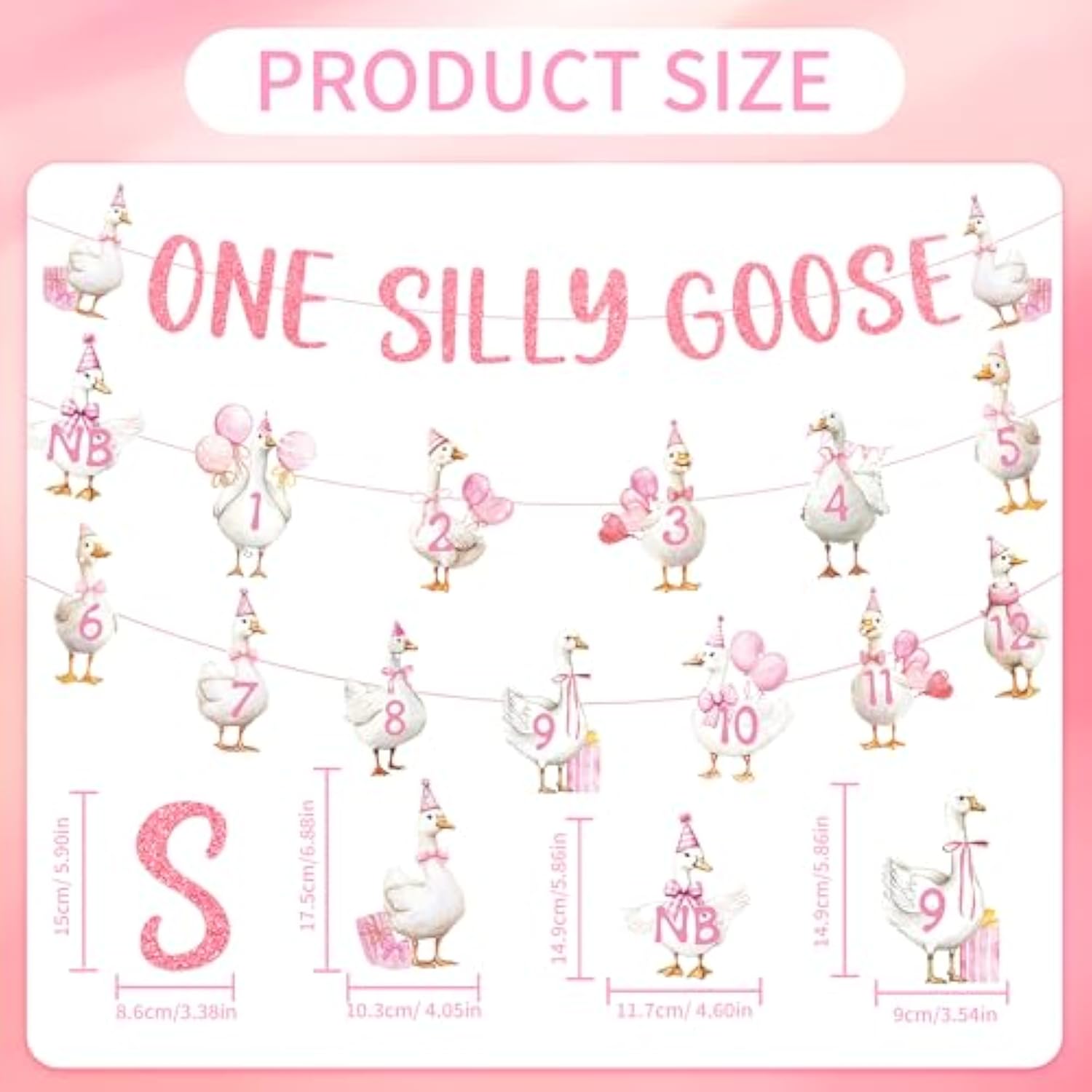 One Silly Cute Goose Birthday Decor 1st Birthday Photo Banner Garland Pink Farm Supplies
