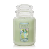 Yankee Candle Cucumber Mint Cooler Large Classic Jar Candle