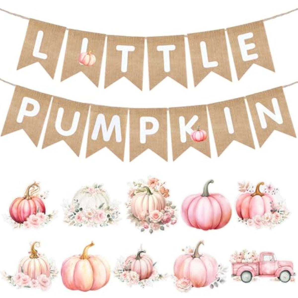Fall Pink Little Pumpkin Burlap Baby Shower Banner Autumn/Halloween Decor