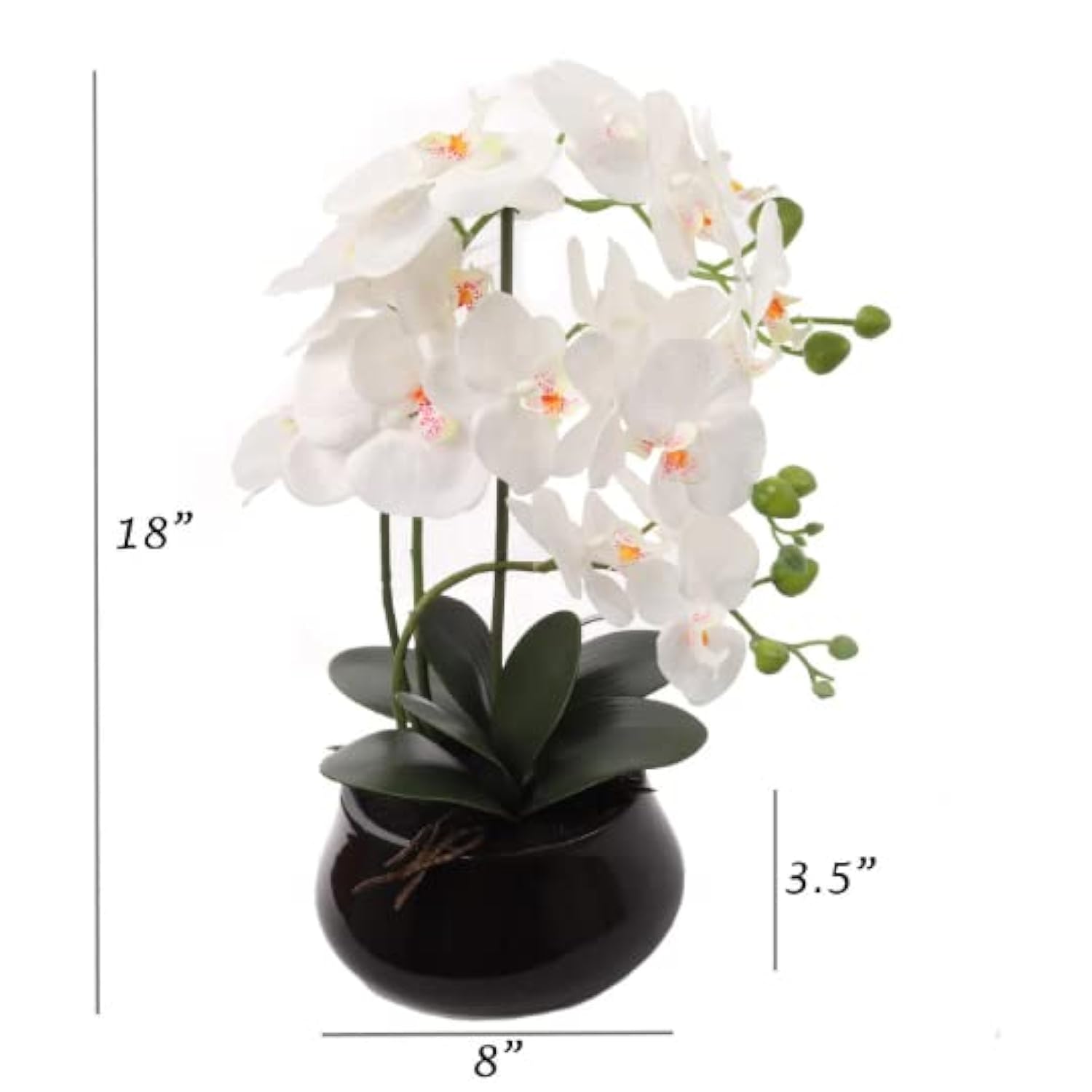 18" White Phalaenopsis Orchid Flowers In Black Ceramic Round Vase, Realistic Silk Flowers & Latex Foliage, Table Floral Arrangements, Home & Office Decor