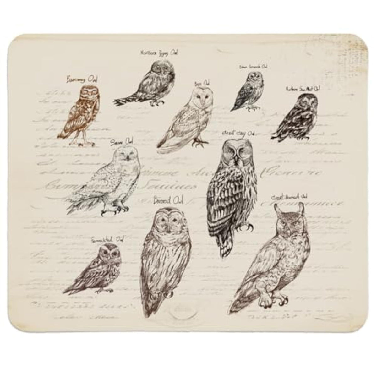 Magical Owl Funny Small Mouse Pads?Home Decor Accessories Office Supplies?Mousepad For Home Office Gaming Working Computers Laptop?Owl Gifts For Owl Lovers,9.5X7.9 Inches