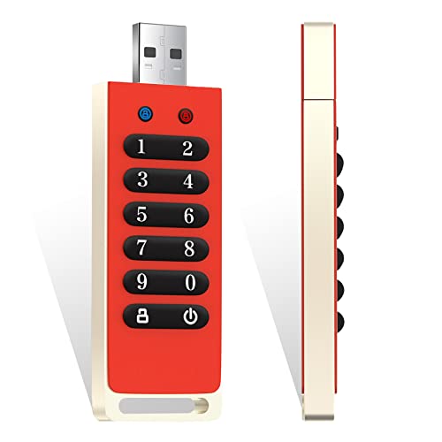 Innplus Secure Flash Drive 256-Bit, 64Gb Encrypted Usb 3.0 Flash Drive, Password Protected, Compatible For Mac/Windows/Linux/Embedded System - Orange