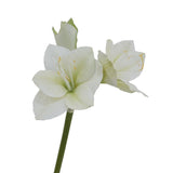 Artificial Amaryllis Flowers, 21.5 Inches, Red, White, Pink, Set Of 3, Faux Lilies For Wedding, Home, Office, Hotel Decor (White)