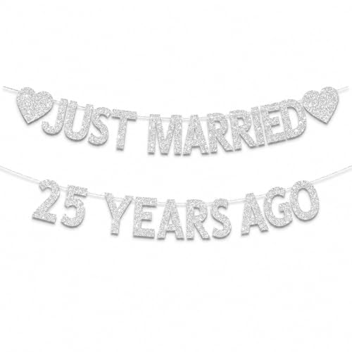 25th Wedding Anniversary Party Banner Decorations
