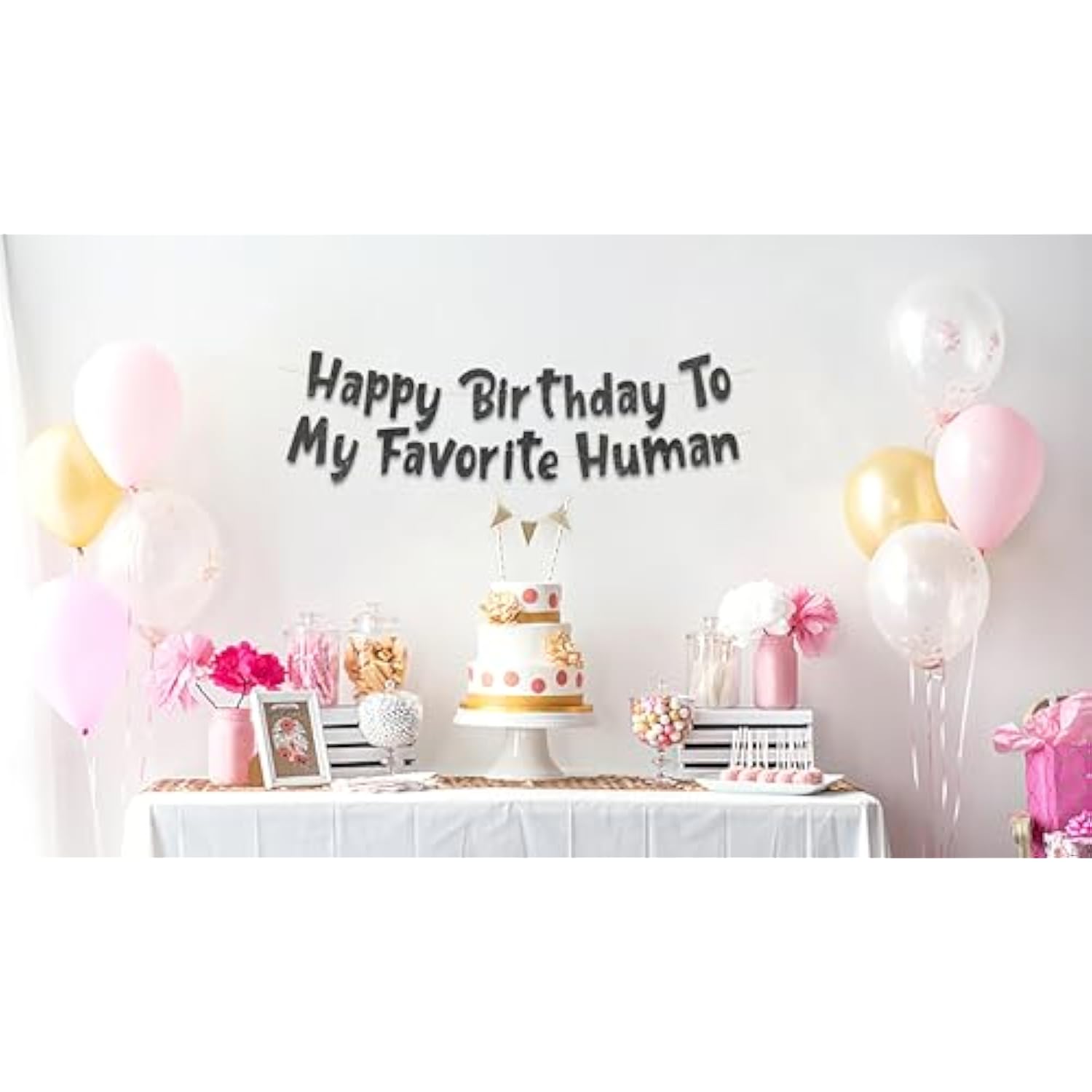 Pre-Strung Happy Birthday To My Favorite Human - Funny Birthday Black Glitter Banner - Funny Birthday Decorations For Men And Women - Party Supplies And Gifts