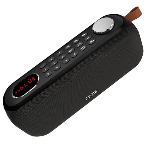Portable Bluetooth Speaker FM Radio Digital, Support USB/SD Card MP3 Music Player/AUX/REC, Build-in 3000mAh Rechargeable Battery, 10W Powerful