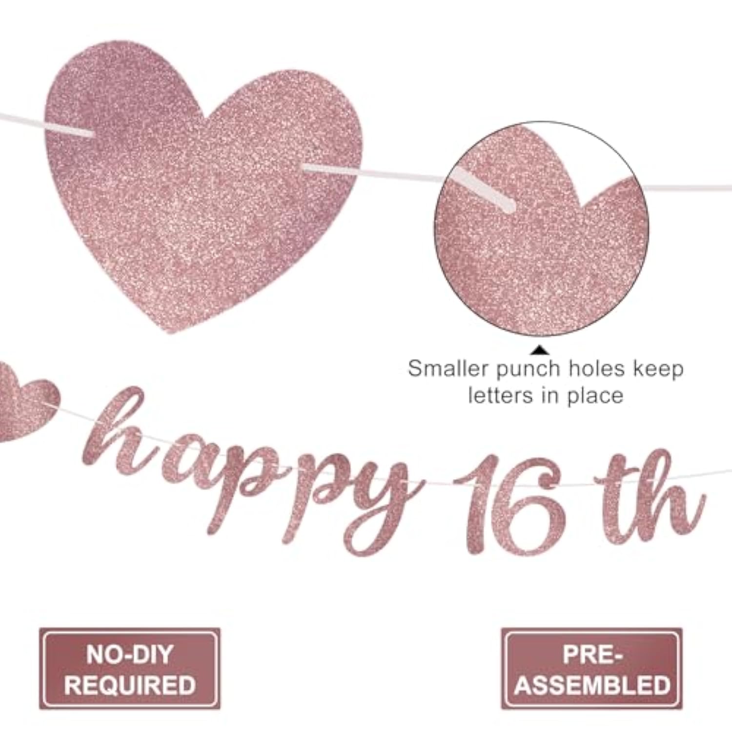 Pink Rose Gold 16th Party Decorations "Awesome Since 2009" Banner & Photo Props