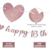 Pink Rose Gold 16th Party Decorations "Awesome Since 2009" Banner & Photo Props