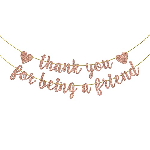 Thank You for Being a Friend Banner, Girls Party Decorations, Thank You Party Banner, Friends Birthday/Anniversary/Graduation Party Hanging Decor Supplies