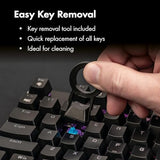 Scorpion V1 Wired Mechanical Gaming Keyboard - Usb-A W/Usb-C Connection Adaptor Tactile & Clicky Brilliant Rgb Lighting Customizable Keys & Multimedia Function 104 Keys