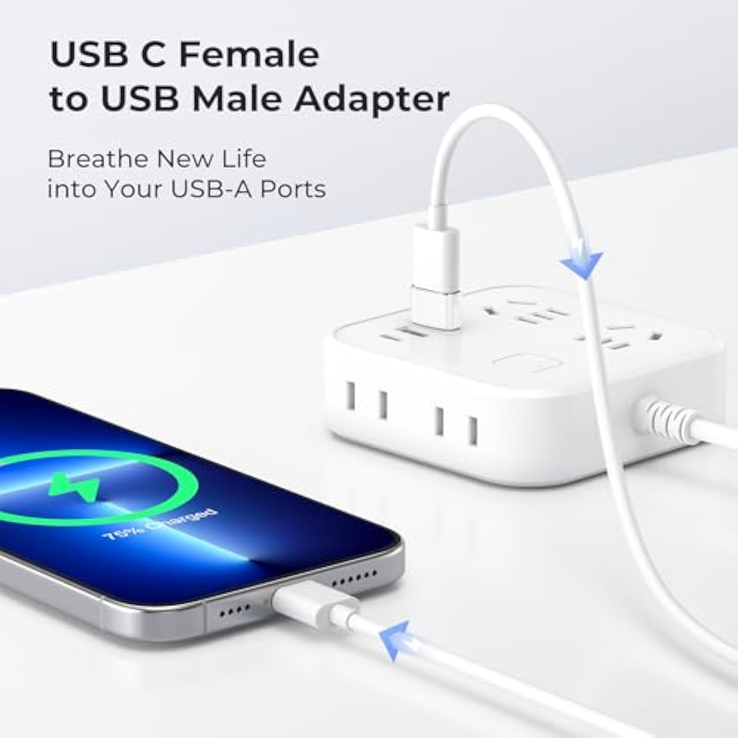 Type C Female to A Male Cable Converter for Apple & Samsung Cell Phones