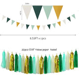 Sage-Green Beige-Gold Baby Bridal-Shower Decorations - 30Pcs Rustic Wedding Tissue Pom Poms,Tassel Garland Banner,Birthday Gender Reveal Bachelorette Engagement Party Decor Bunting