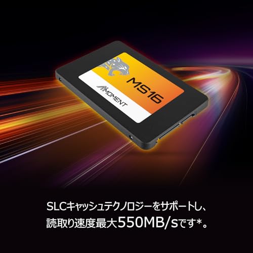 Ms16 256Gb 2.5 Inch Sata Iii 6 Gb/S Internal Solid State Drive Ssd (Read Up To 550Mb/S) Compatible With Pc Desktop