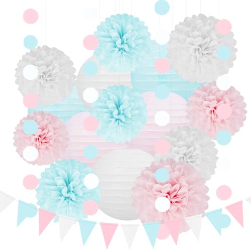 White Blue Pink Party Decorations - 17pcs Tissue Paper Flowers Pom Poms Lanterns Gender Neutral Baby Gender Reveal Party Supplies Gender Reveal Theme Decor Birthday Hanging Decor Ideas