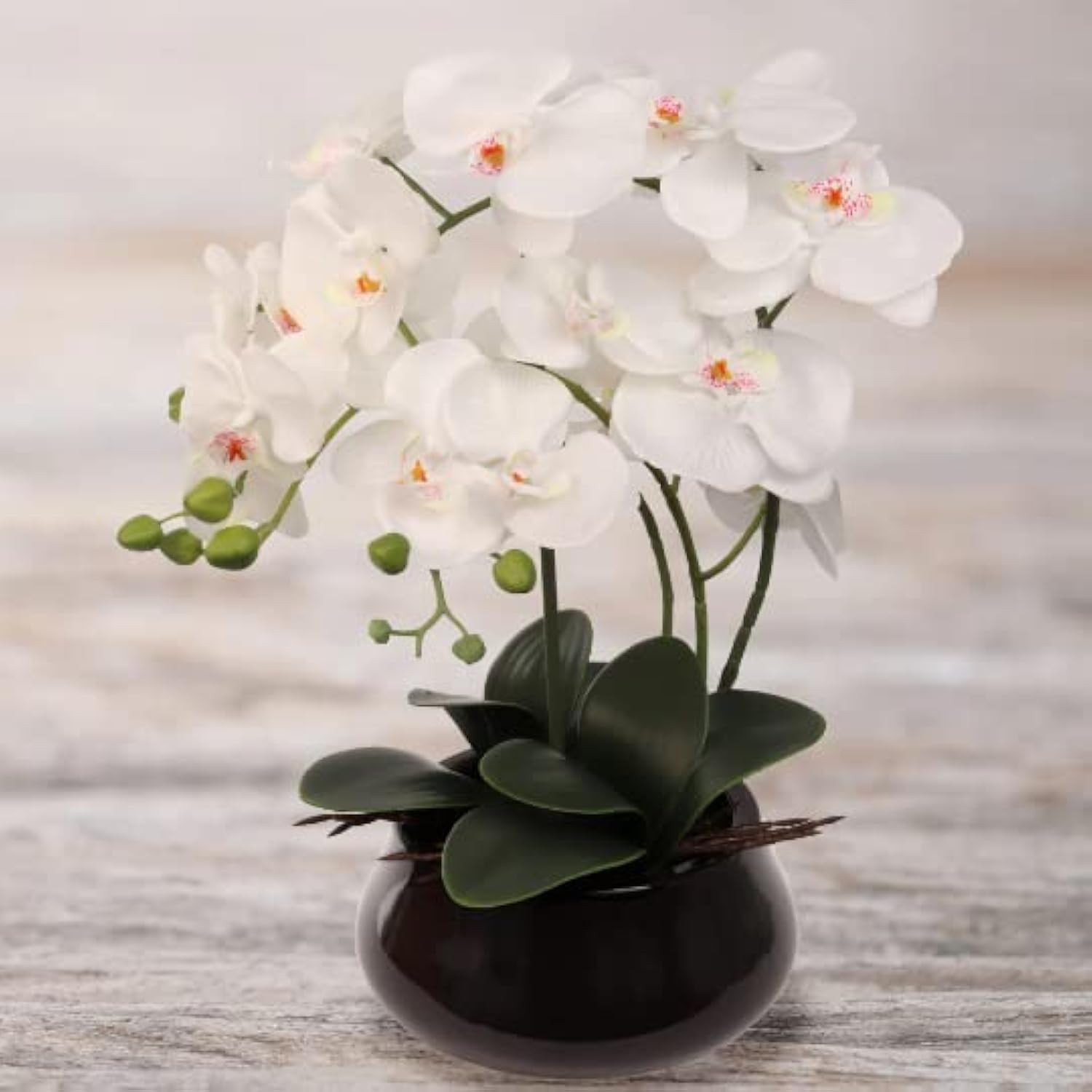 18" White Phalaenopsis Orchid Flowers In Black Ceramic Round Vase, Realistic Silk Flowers & Latex Foliage, Table Floral Arrangements, Home & Office Decor