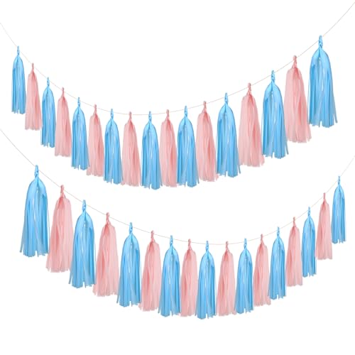 20PCS Gender Reveal Tissue Paper Tassel Banner Baby Pink Blue Tissue Garland for Gender Reveal Party Decorations Boy or Girl Baby Shower Decorations Pink and Blue Decorations