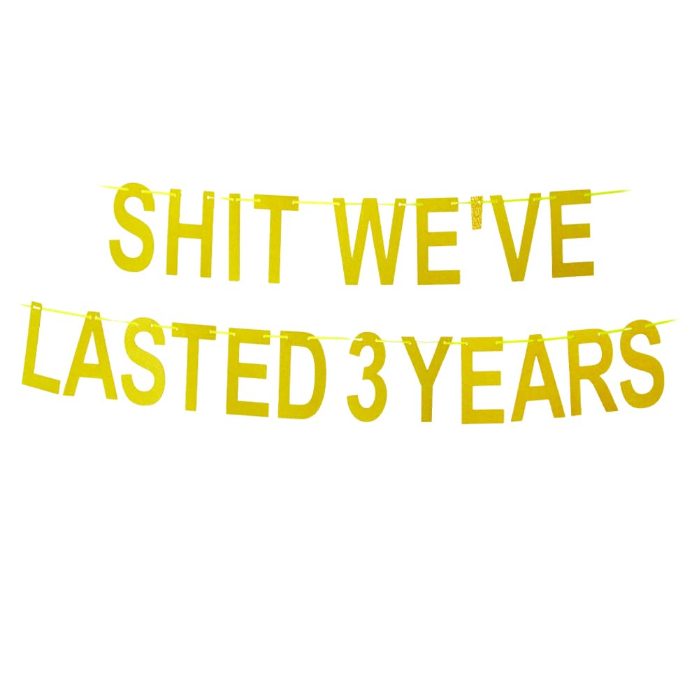 S-t We've Lasted 3 Years Banner, Funny Decorations for Happy 3th Anniversary Sign/Wedding/Graduation/Friendship/3th Camaraderie Anniversary Party Props Glitter Gold