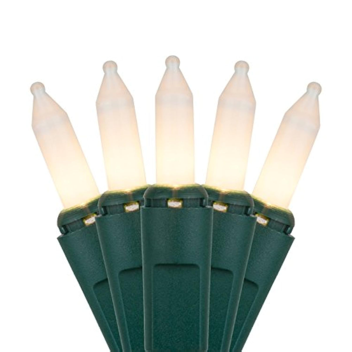 Holiday Pride Frosted White Christmas Lights - 100 Count White Frost Mini Lights On Green Wire (24 Ft) - For Indoor & Ou