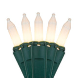 Holiday Pride Frosted White Christmas Lights - 100 Count White Frost Mini Lights On Green Wire (24 Ft) - For Indoor & Ou
