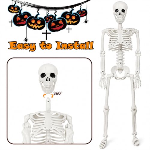 36" Halloween Skeleton Decorations - 3FT Posable Skeleton with Dog & Cat