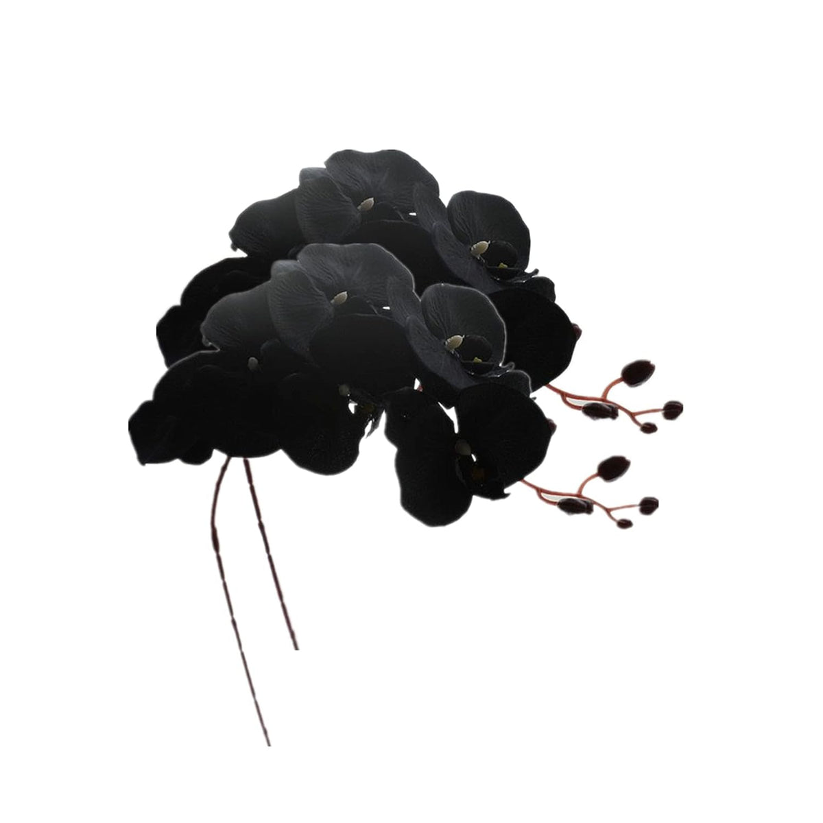 8 Heads Faux Black Orchid,40" Bouquets 2 Stem Phalaenopsis No Fade Petals Fake Flowers Forever Plants For Home Decoration, Office Decor,Wedding Party Decoration