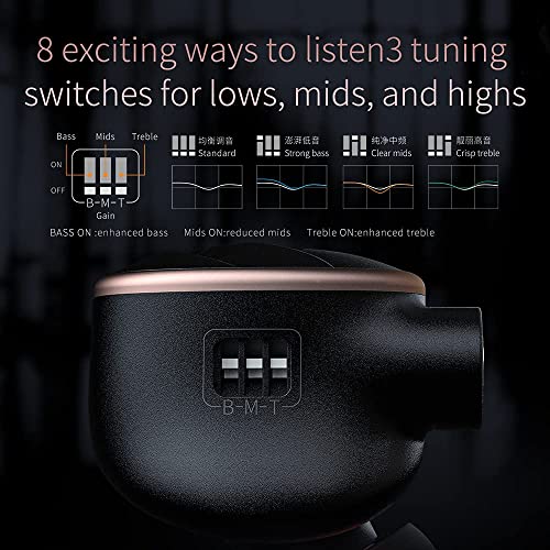 FH5s Hybrid in-Ear Monitors - Black