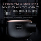 FH5s Hybrid in-Ear Monitors - Black
