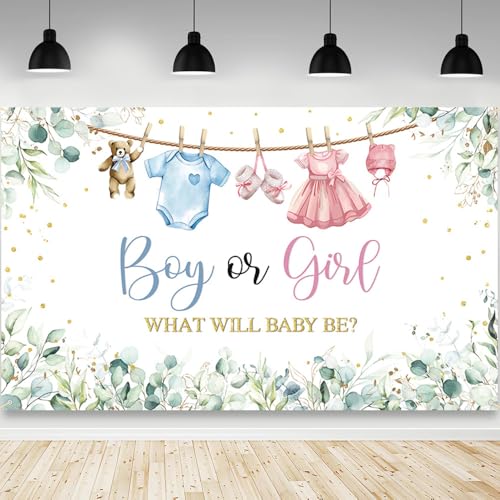 Gender Reveal Decorations Backdrop Banner for Boy Girl 6x3.6ft