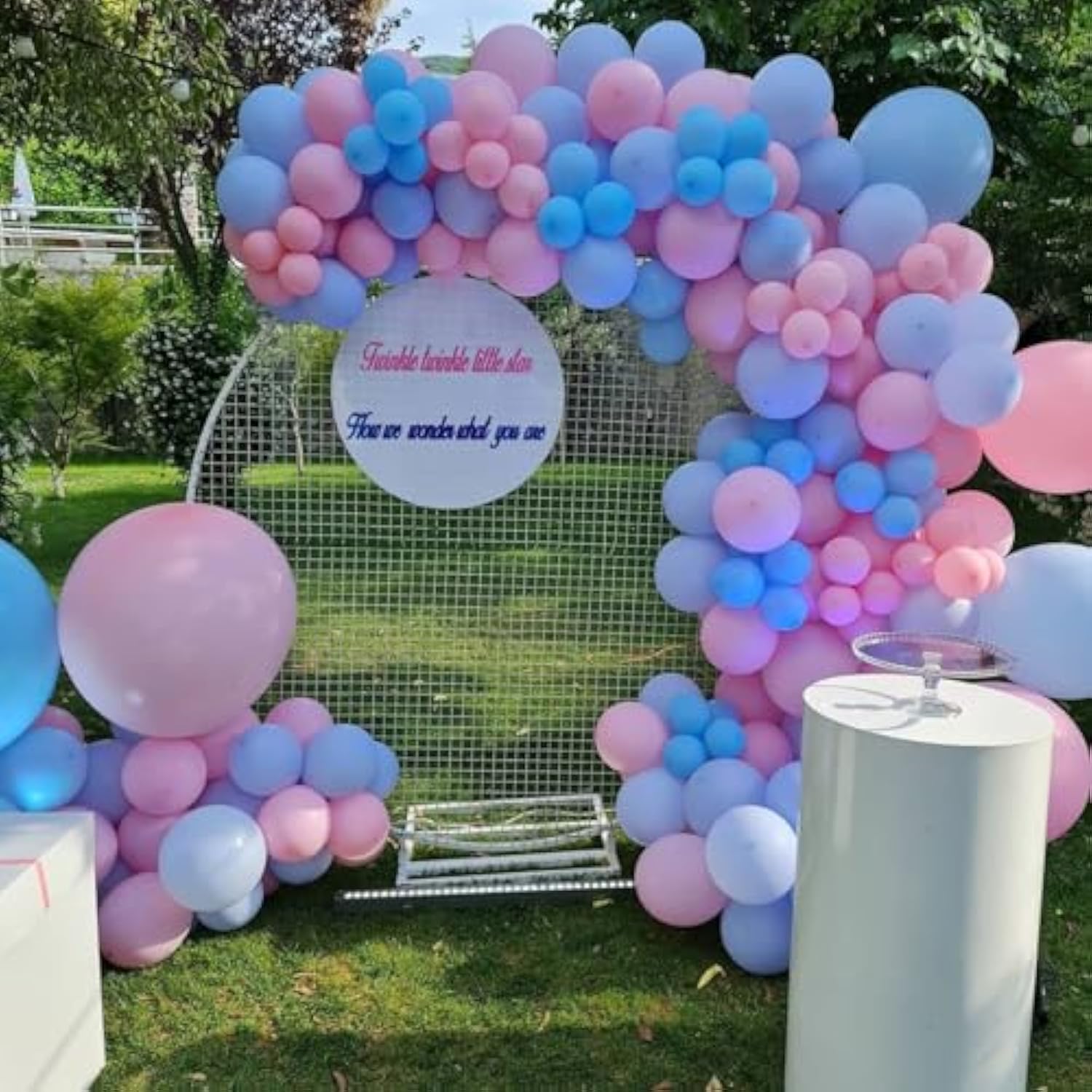 67-Pack Pink & Blue 12" Balloons Gender Reveal Party Decor