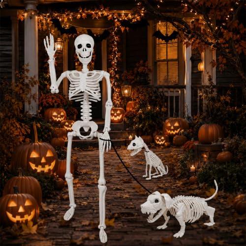 36" Halloween Skeleton Decorations - 3FT Posable Skeleton with Dog & Cat