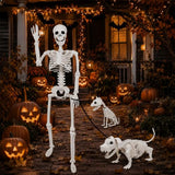 36" Halloween Skeleton Decorations - 3FT Posable Skeleton with Dog & Cat