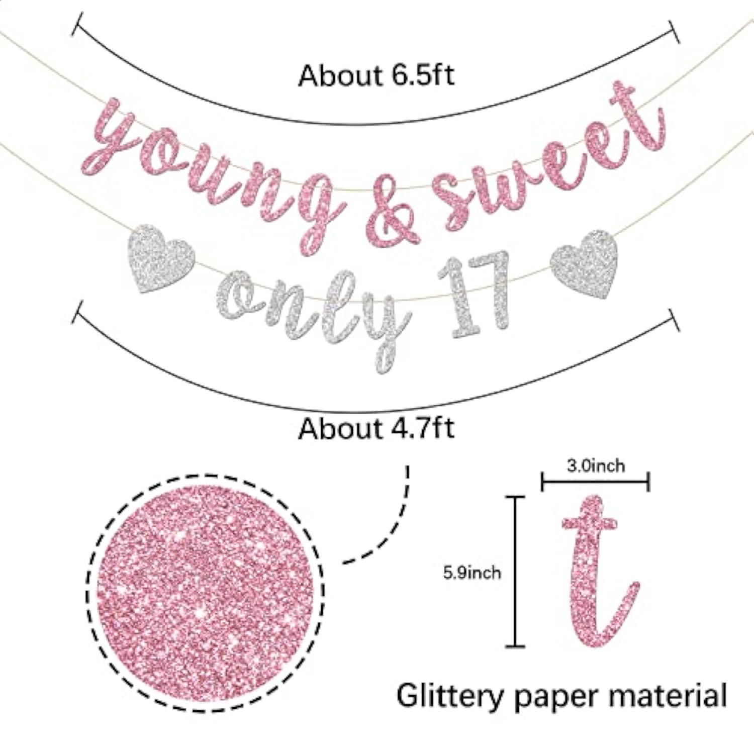 Young & Sweet Only 17 Banner - Happy 17Th Birthday Party Decor For Girls - Cheers To 17 Years Party Decorations Supplies, Pink & Silver Glitter