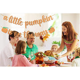 Pumpkin Baby Shower Decorations A Little Pumpkin Is On The Way Banner Orange Glitter Pumpkin Birthday Party Decorations Orange Little Pumpkin Banner Thanksgiving Fall Theme Gender Reveal Baby Shower Birthday Party Decorations Supplies