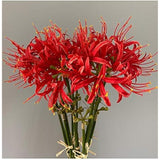 6 Stems 26.38 Inch Artificial Lycoris Radiata Spider Lily Flowers For Home Garden Decoration Red