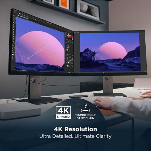 Vp2488-4K 24 Inch 4K Mac-Ready Monitor With 100% Srgb, 98% Dci-P3, Pantone Validated, Advanced Ergonomics, Thunderbolt 4, Usb Hub, Hdmi, And Dp For Home And Office