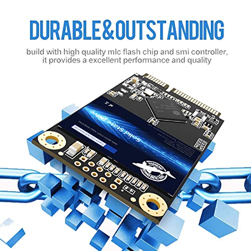 Dogfish Msata Ssd 256Gb 3D Nand Tlc Sata Iii 6 Gb/S, Msata (30X50.9Mm) Internal Solid State Drive - Compatible With Desktop Pc Laptop - (Msata 256Gb)