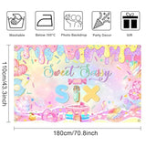 Donut 6th Birthday Backdrop Sweet Sassy Six Banner for Girls Party (Pink)