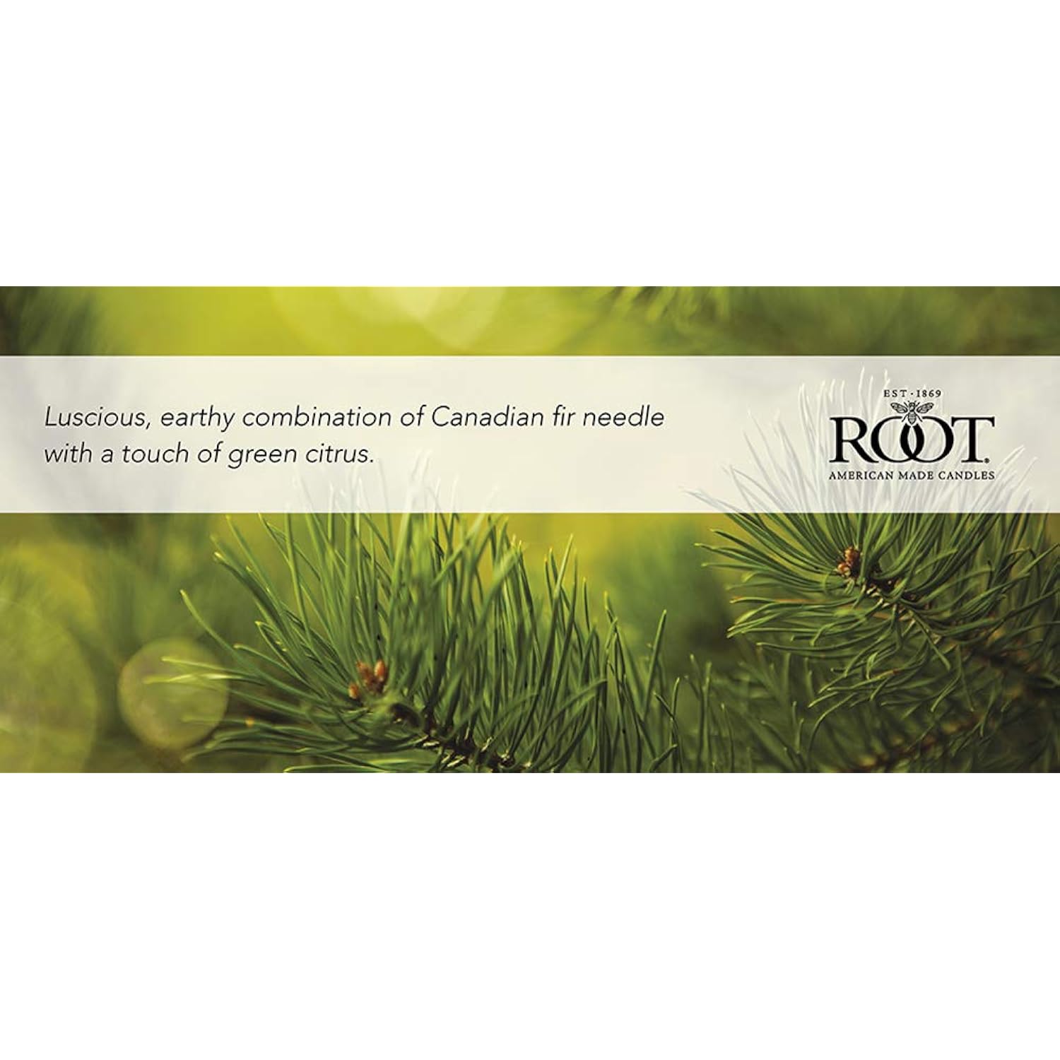 Root Candles Holiday Scented Candles Honeycomb Veriglass Premium Handcrafted Beeswax Blend Candle, Large, Winter Balsam