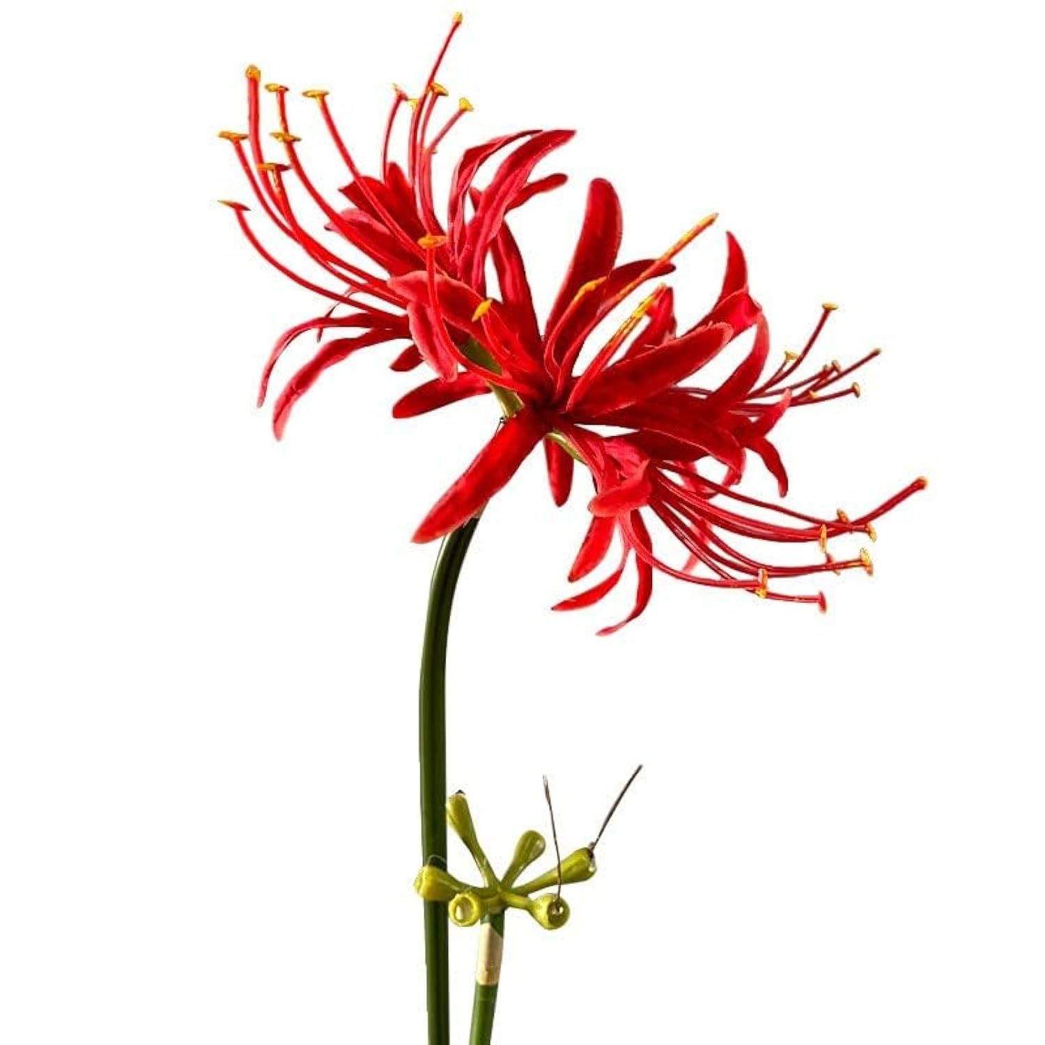 5 Stems Artificial Spider Lily Flowers 23.6 Inches Lycoris Bulbs Spider Lilies Artificial Flowers With Long Stem Real Touch For Photography Hotel Garden Decoration (Red)