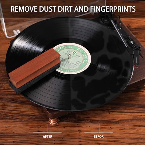 Vinyl Record Cleaning Kit